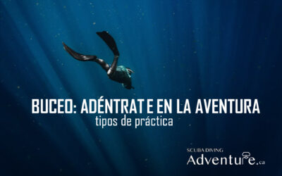 Buceo: adéntrate en la aventura 