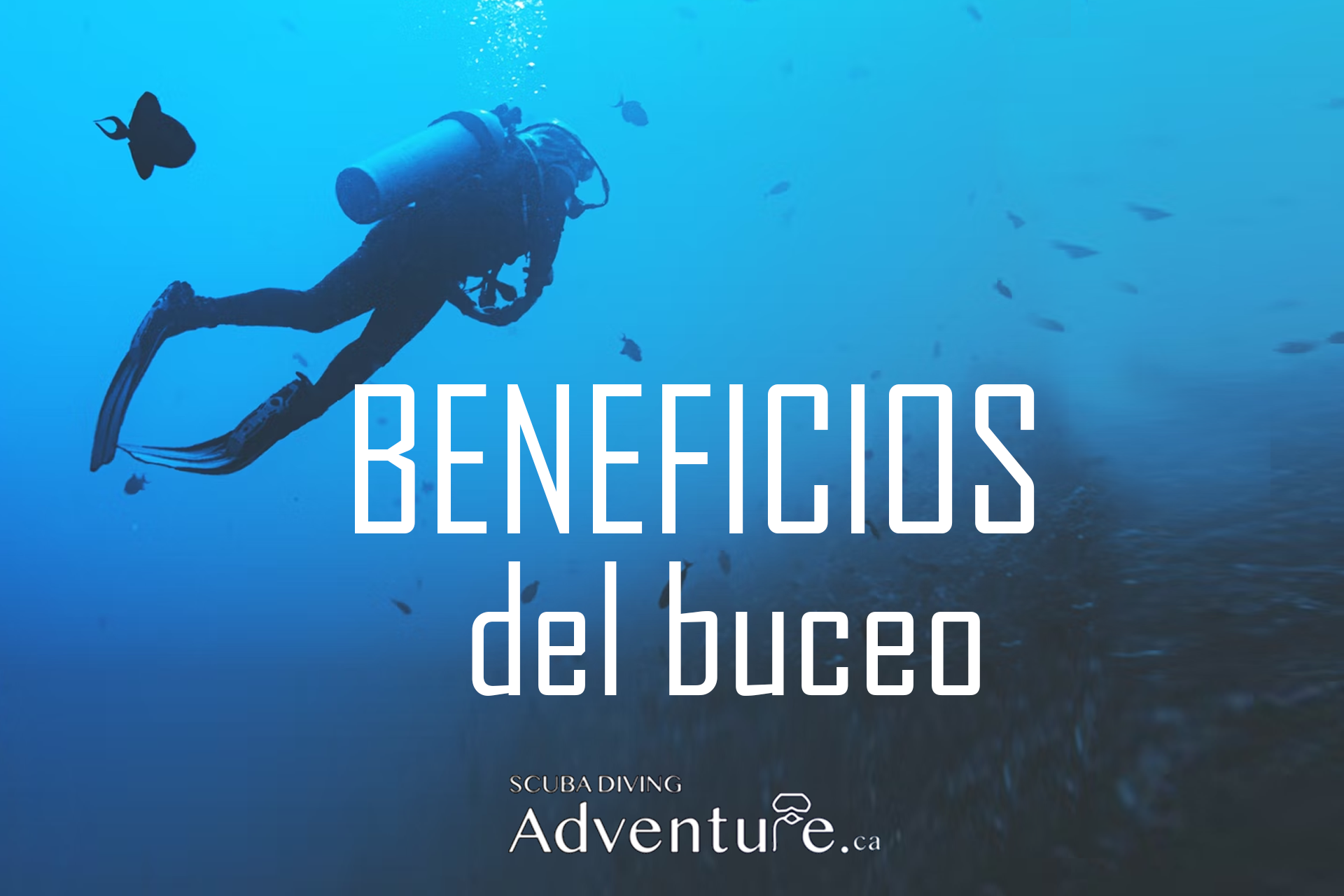 6 Razones Por Las Que Debes Comenzar A Bucear - Scuba Diving Adventure