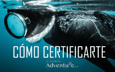 Cosas que debes saber para obtener tu certificación de buceo 