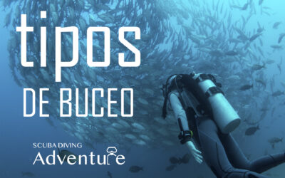 ¿Cuántos tipos de buceo existen?