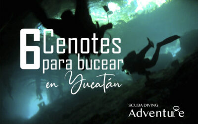 6 cenotes para bucear en Yucatán 