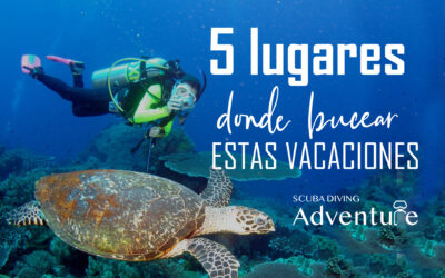 Los 5 mejores sitios para bucear estas vacaciones 