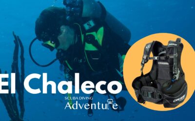 Cómo elegir un chaleco de buceo 