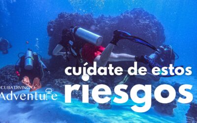 De qué riesgos debes cuidarte en el buceo 