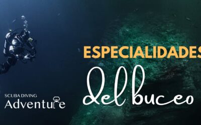 4 especialidades que mejorarán tu experiencia en el buceo 