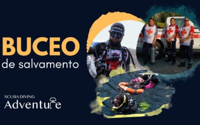 Buceo de salvamento: el ejemplo de la Cruz Roja 