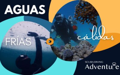 ¿Buceo en aguas frías o aguas cálidas? 