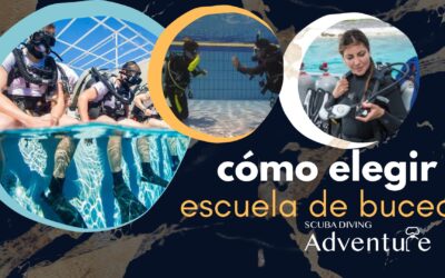 Cómo elegir un curso de buceo adecuado