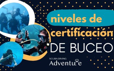 Niveles de certificación en la profesionalización del buceo 