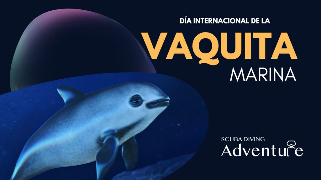 vaquita marina