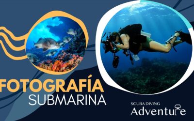 10 Consejos rápidos para hacer fotografía submarina 