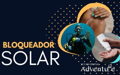 Bloqueador solar para buceo: cómo elegir el mejor 