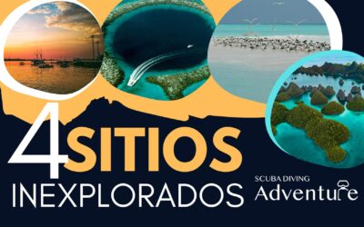 4 Destinos de Buceo Inexplorados 