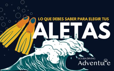 Lo que necesitas saber para elegir tus aletas de buceo 