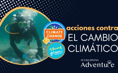 Acciones Contra el Cambio Climático en el Buceo 