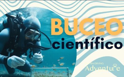 Buceo Científico: Explorar los Secretos del Mundo Submarino 