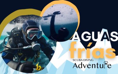 Desafíos y Encantos del buceo en aguas frías 