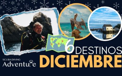 Los 6 Mejores Destinos de Buceo en invierno 