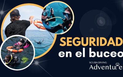 Seguridad en el Buceo: Priorizar la Vida Bajo el Agua 