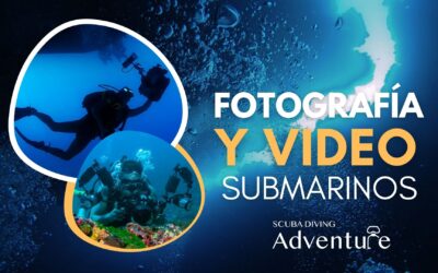 Explorando las Profundidades: Fotografía y Video Submarinos 