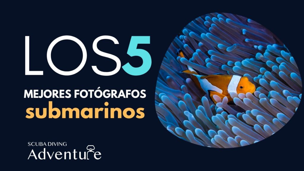 mejores fotógrafos