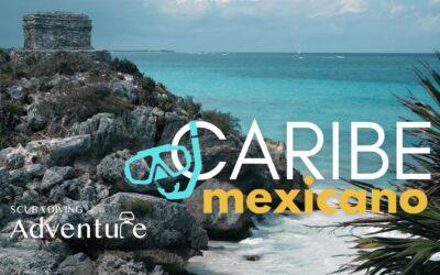 Los 5 Mejores Lugares para Bucear en el Caribe Mexicano 