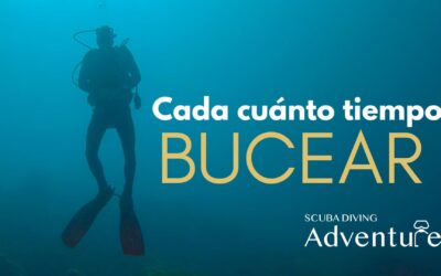 ¿Cada cuánto tiempo bucear? 