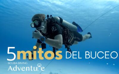 5 Mitos Del Buceo: ¡Descubre la Verdad! 