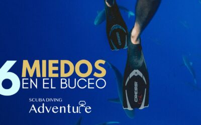 Miedos Comunes en el Buceo y Cómo Superarlos 