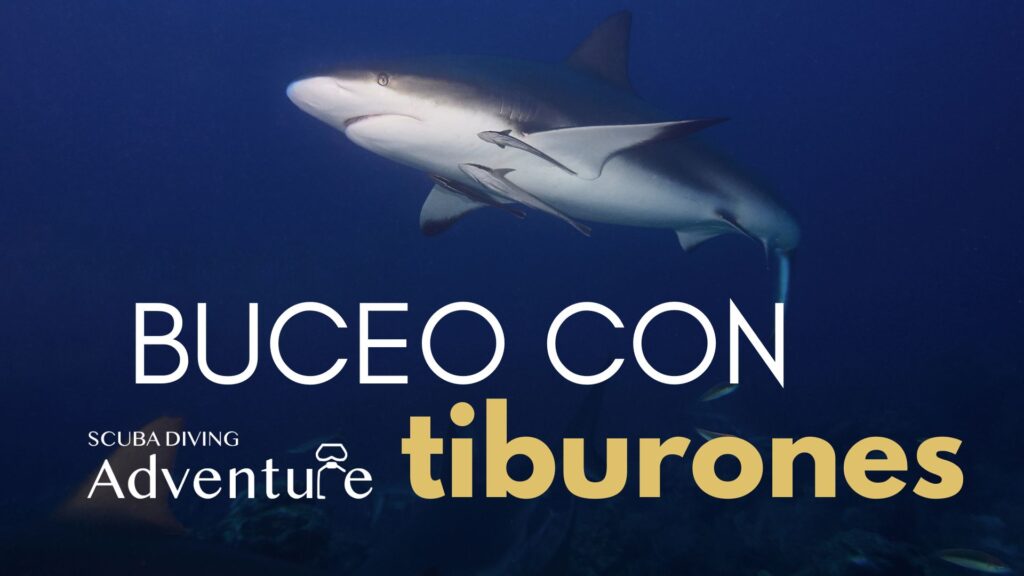 TIBURONES