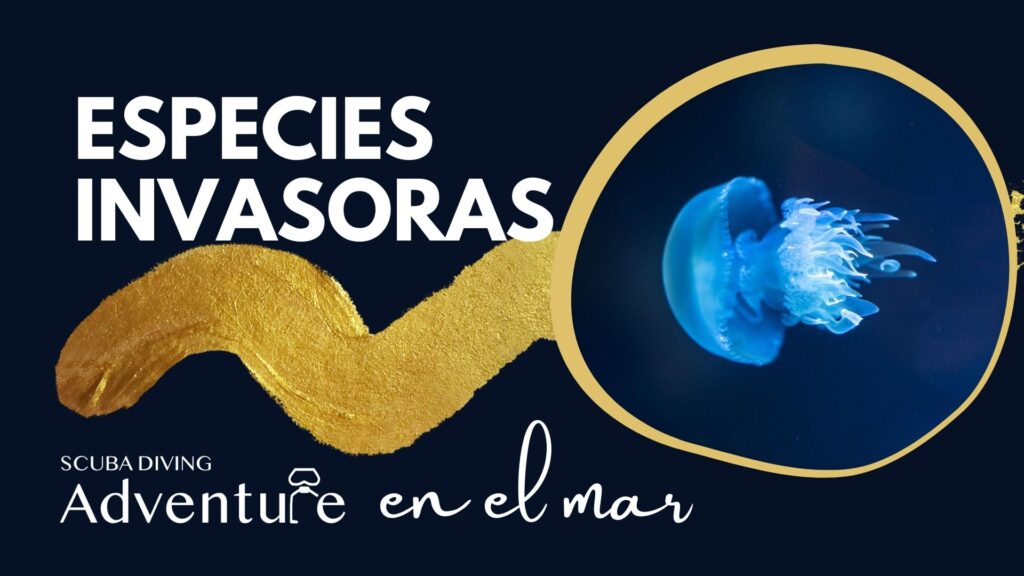 Especies invasoras