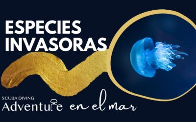 Especies invasoras en el mar: amenaza a la biodiversidad