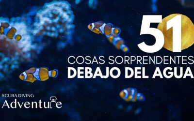 51 Cosas Sorprendentes del Mundo Subacuático 