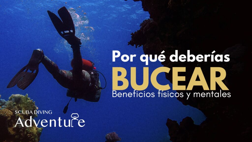 BUCEO