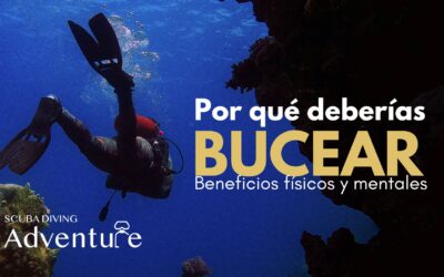 ¿Por qué deberías probar el buceo? Beneficios físicos y mentales 