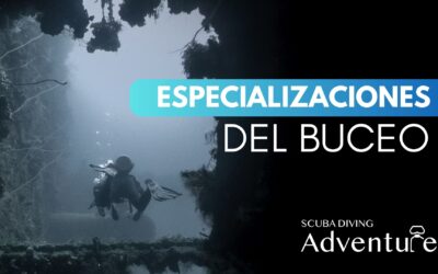 Especializaciones de buceo: otras formas de disfrutar del mar 