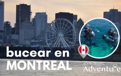 Historia del buceo en Montreal: Un vistazo a su desarrollo 