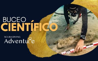 Buceo Científico: Cómo Contribuir a la Investigación Marina