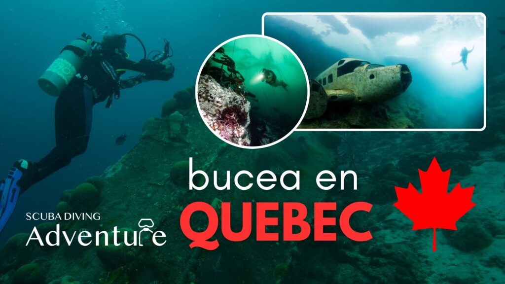 bucea en Quebec