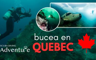 BUCEO EN QUEBEC, SOLO PARA EXPERTOS 